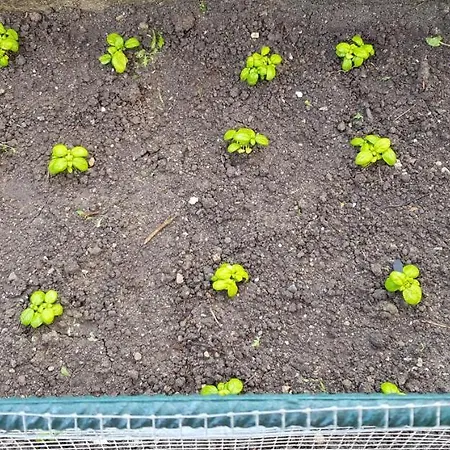 La Mandragola Relais Crotone