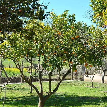 La Mandragola Relais Oda ve Kahvaltı *