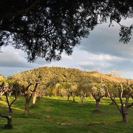 La Mandragola Relais *