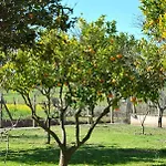 La Mandragola Relais Bed & Breakfast *