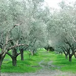 La Mandragola Relais * Crotone