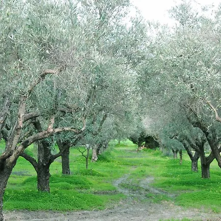 La Mandragola Relais * Κρότωνας