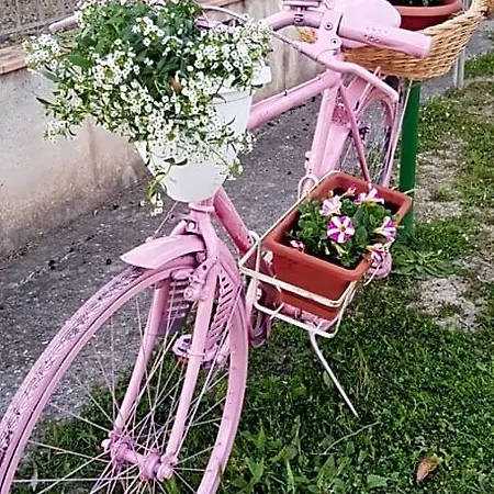 La Mandragola Relais *