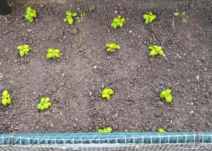 La Mandragola Relais Crotone