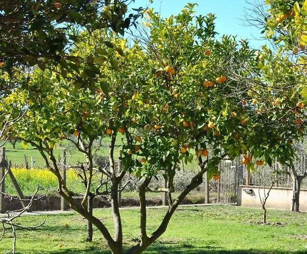 La Mandragola Relais Frühstückspension *