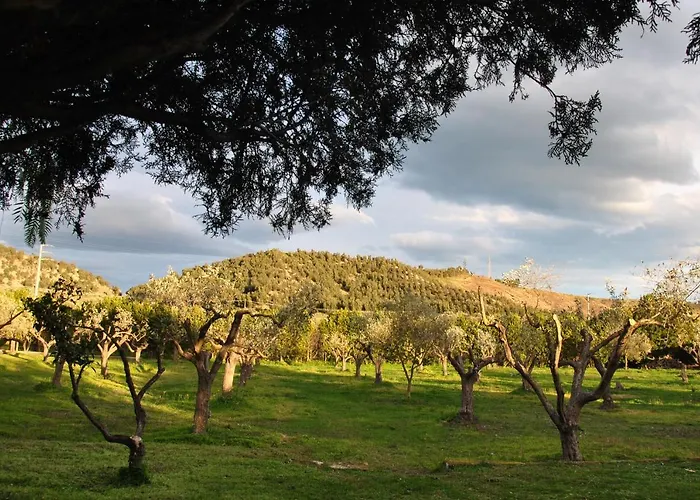 La Mandragola Relais *